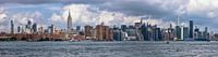 Concrete Jungle