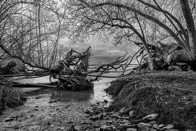 Nature along the river by Eugene Winthagen