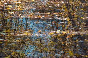 Réflexion avec des feuilles et des arbres d'automne sur Lucia Kerstens