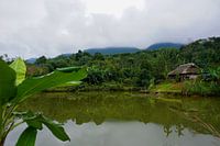 The unknown in Vietnam