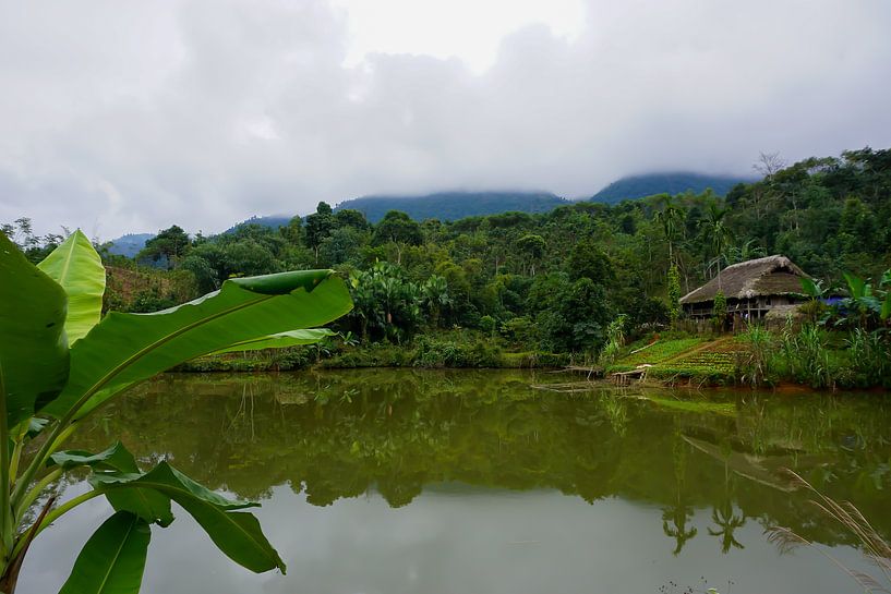 The unknown in Vietnam by Bonthekke