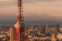 TOKYO 28
