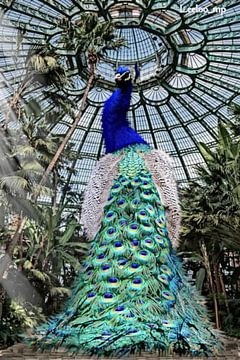 Art Deco Peacock in the Tropical Palace by Leeloo_mp