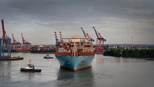 Containerschiff im Hafen mit Schleppern und Hafenkränen