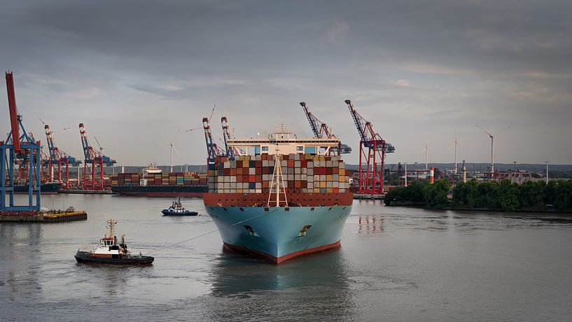 Containerschiff im Hamburger Hafen von Jonas Weinitschke