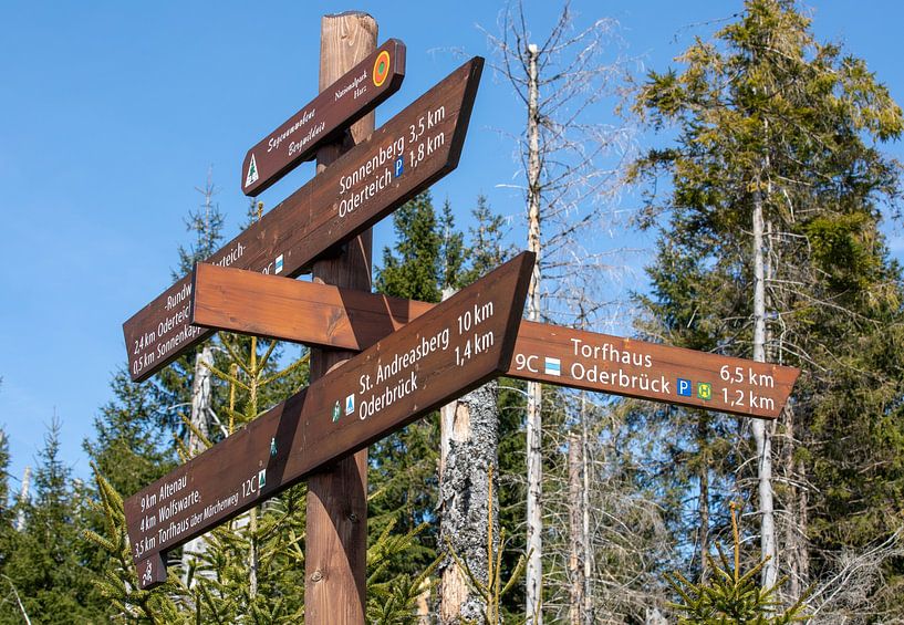 Wandelgids in de Oberharz van t.ART