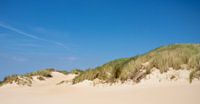 duinen brouwersdam