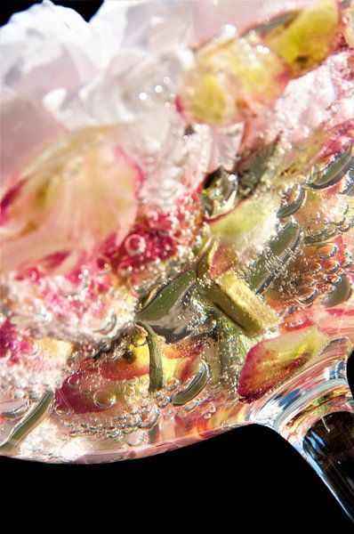 Pfingstrose Champagner von Jessica van der Mast