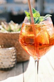 Sommerlicher Orangencocktail mit frischer Minze // Fotografie von Diana van Neck Photography
