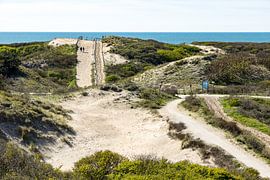 Dunes et mer près de Noordwijk sur Michel van Kooten