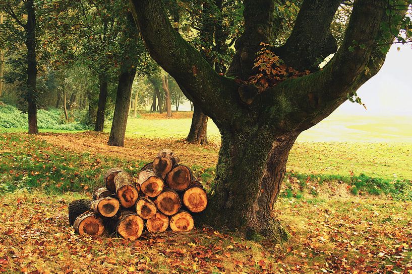 Klaar voor de winter par Wijnand Kroes