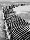 Schaduwspel van houtenhek op strand van René Glas thumbnail
