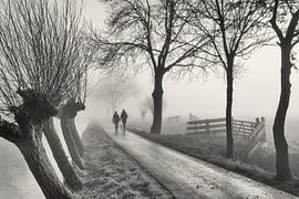langerak in de mist 2 van Pauline Aalfs