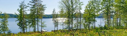Panorama du lac Gissen