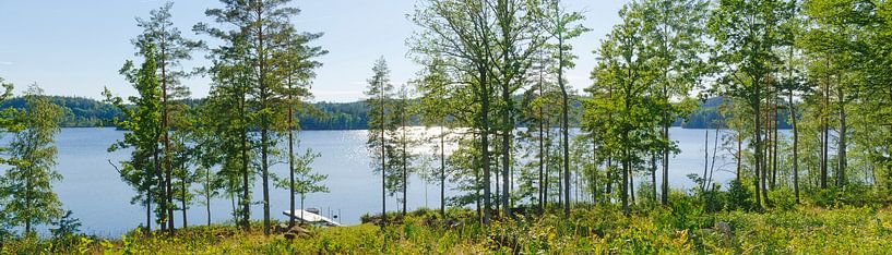 Panorama des Sees Gissen von Leopold Brix
