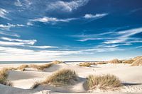 White Sands