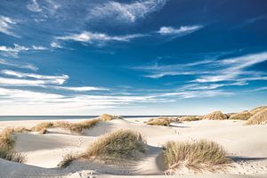 White Sands
