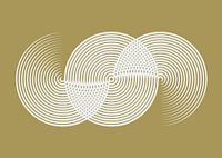 Gouden regenboog (gezien bij vtwonen)