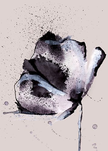 Poppy botanical abstract on neutral background