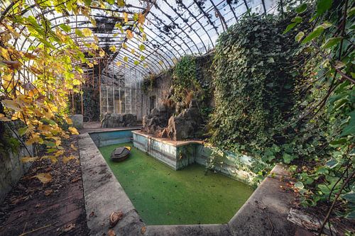 The green world urbex exploration