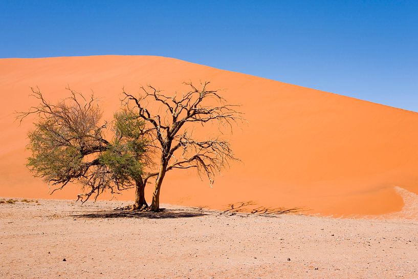 Landschap Namibië, Sossusvlei, Desert van Liesbeth Govers voor omdewest.com