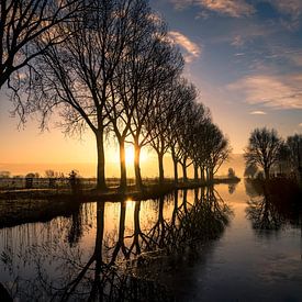 early in the morning... by Anneke Reiss