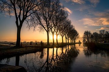 tôt le matin... sur Anneke Reiss