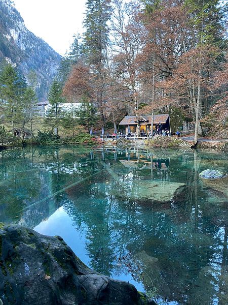 Blausee von Sara Bärtschi