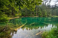 Bodensee Nassfeld van Peter Deschepper thumbnail