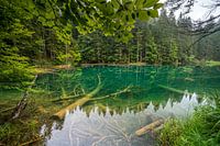 Lake Constance Nassfeld