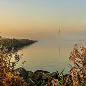 Golden hues across the IJsselmeer. by Alie Ekkelenkamp