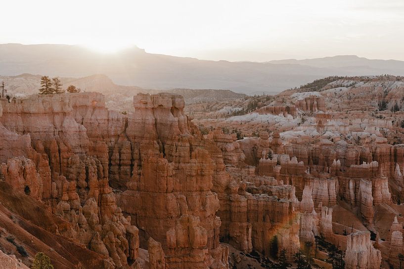 Soft colors during sunrise Bryce Canyon | travel art print by Elise van Gils