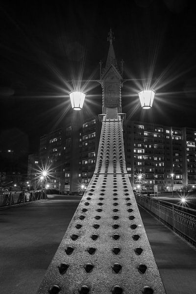 Architektur Die Paradiesbrücke über den Fluss Mulde in Zwickau Sachsen Ostdeutschland bei Nacht Schwarz-Weiß-Fotografie vertikal von Animaflora PicsStock