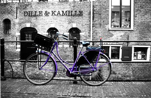 Paarse Fiets met Zwart - Wit