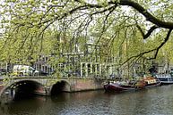 Amsterdam canal by Natuurfotografie_simoneopdam thumbnail