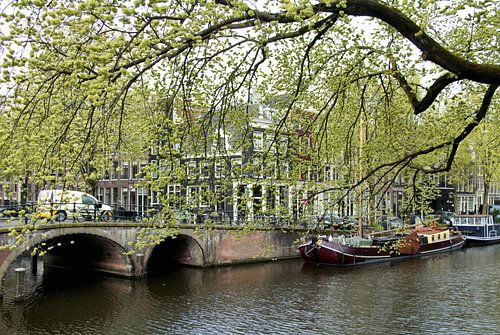 Aan de Amsterdamse grachten sur Natuurfotografie_simoneopdam