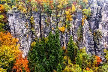 Herfst Elbe Zandsteengebergte van Daniela Beyer