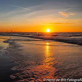 Henri De Wit Profile picture