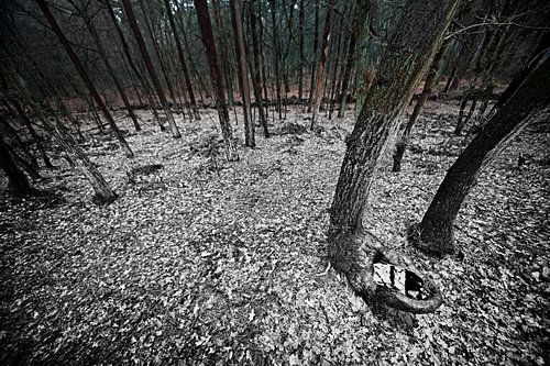Verlatenheid von Nico van Haastrecht