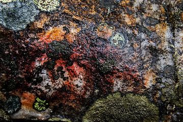 Abstracte rots van Jan Tuns