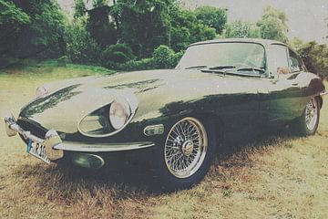 Jaguar E-type van Wolbert Erich