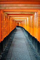 Fushimi Inari Taisha Shrine Kyoto