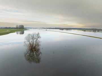 IJssel met hoge waterstanden in de uiterwaarden