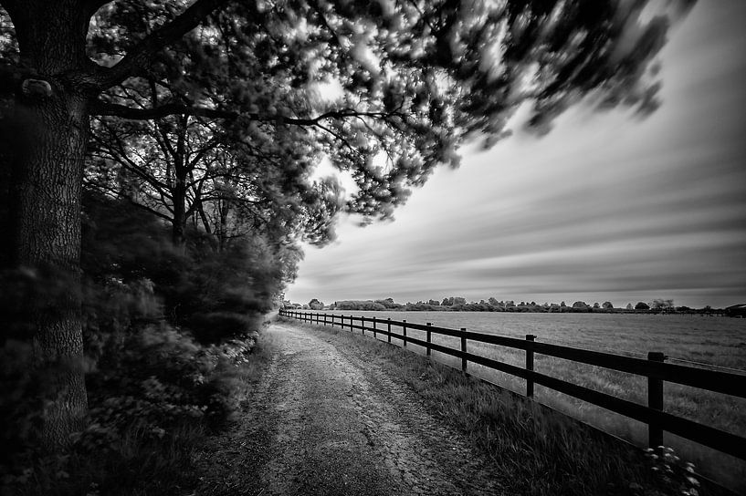 Landweggetje met hek (Zwart-wit) par John Verbruggen