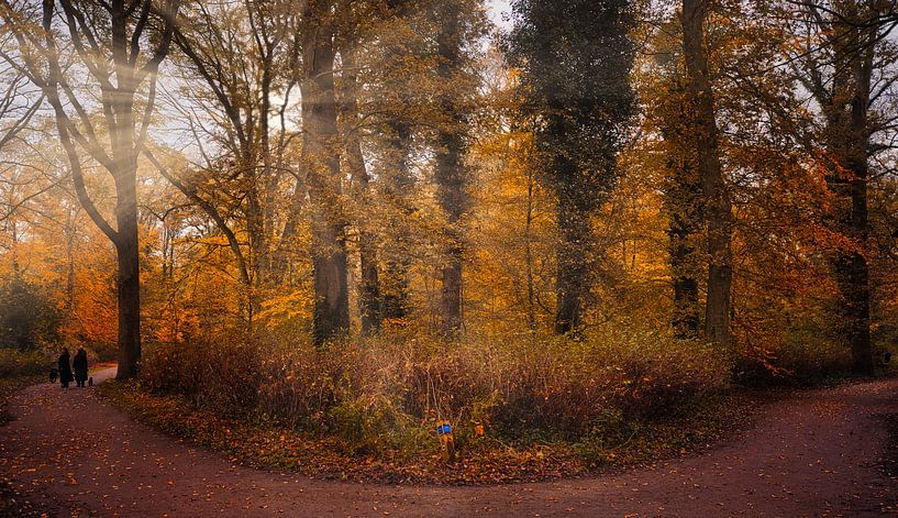 panorama d'automne par peterheinspictures