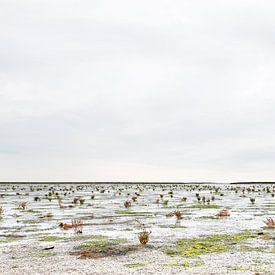 Uitzicht op het wad bij Hauke-Haien-Koog, Duitsland van Rob Liefveld