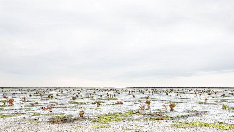 Uitzicht op het wad bij Hauke-Haien-Koog, Duitsland van Rob Liefveld