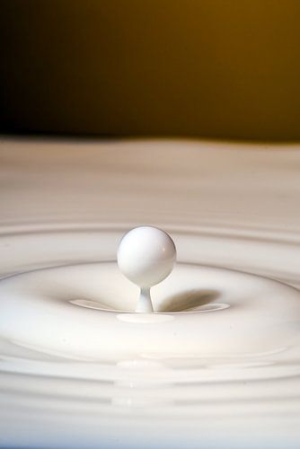 Gouttes de lait à proximité