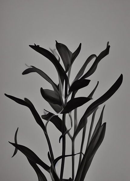 TW living - BLACK MOMENTS 02 von TW living