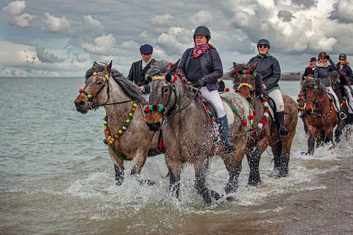 Straô Scharendijke sur Lisette van Peenen